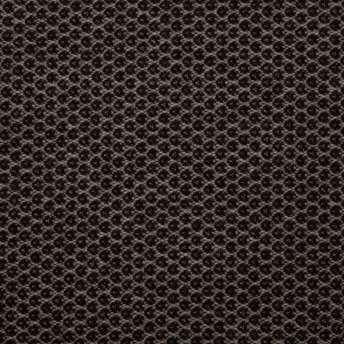 OV 5003