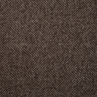 OV 5037