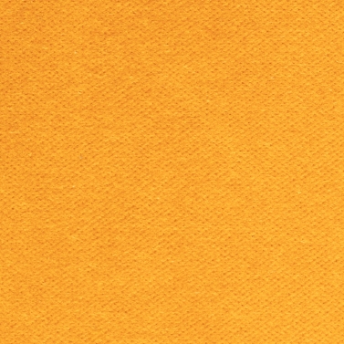 VE 207